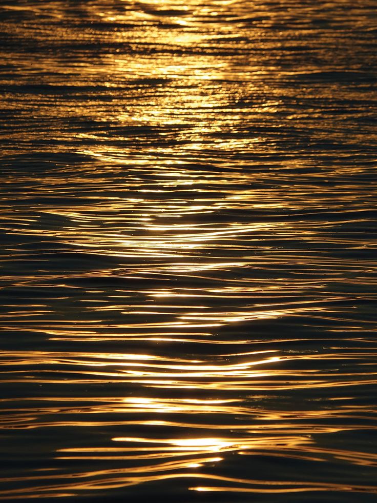 Emotional Balance